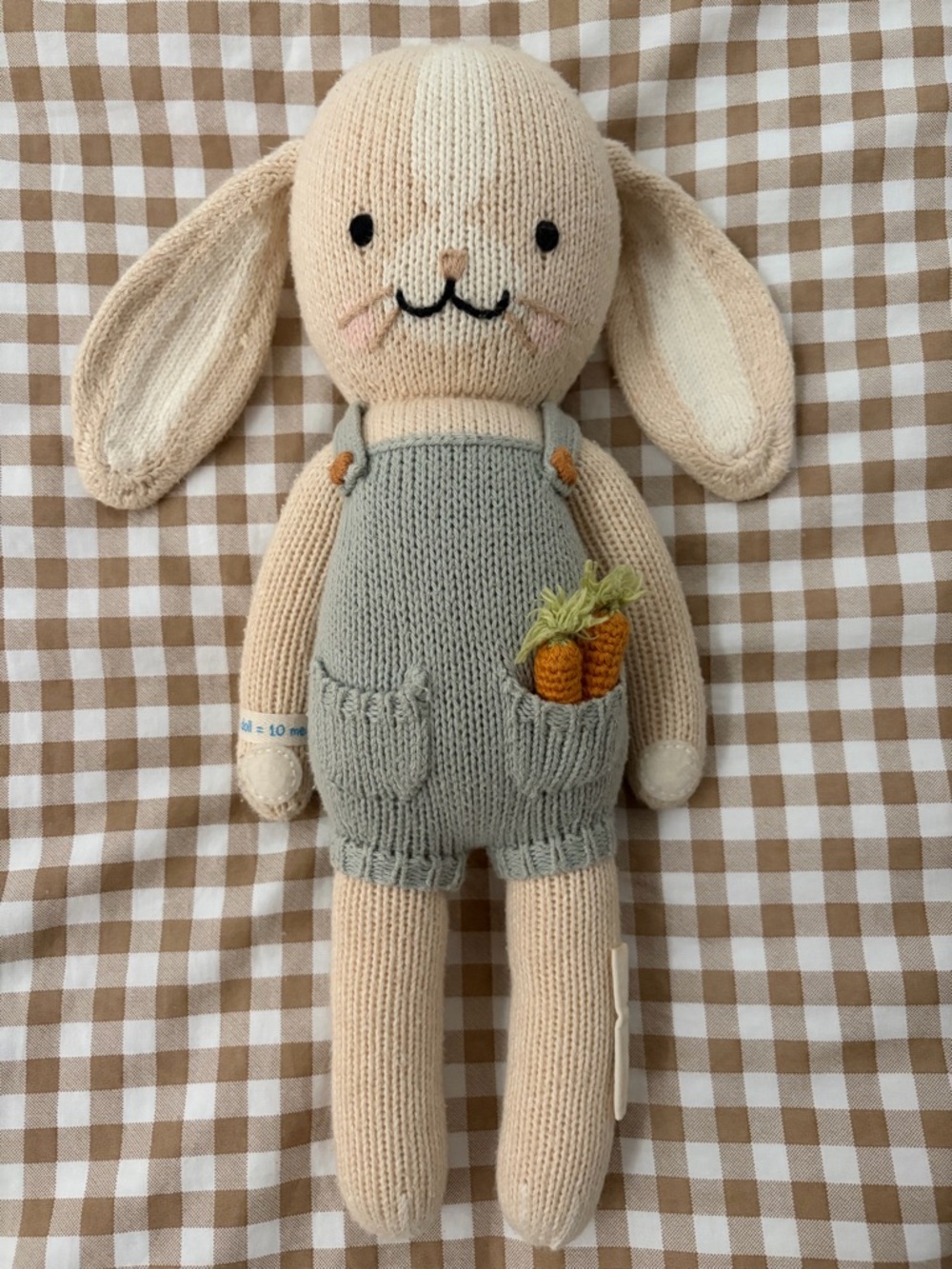 Cuddle and Kind Henry the bunny